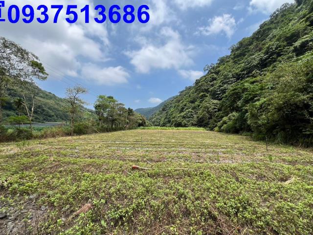 宜蘭員山農地-8