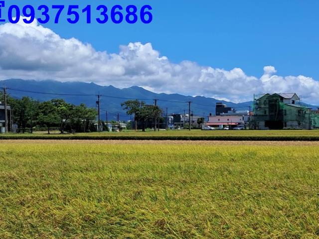 宜蘭壯圍農地-4