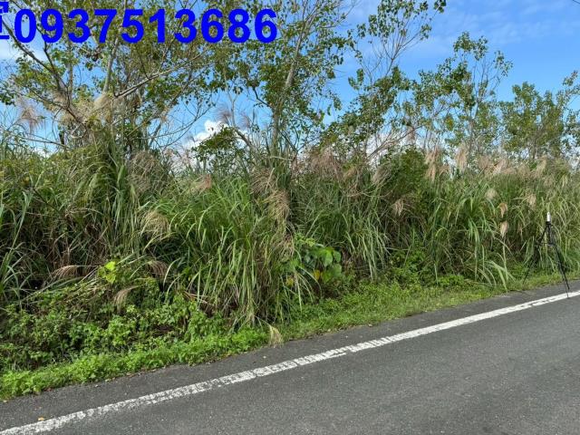 宜蘭壯圍農地-0