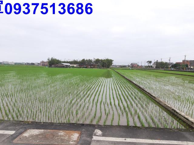 宜蘭礁溪農地-3