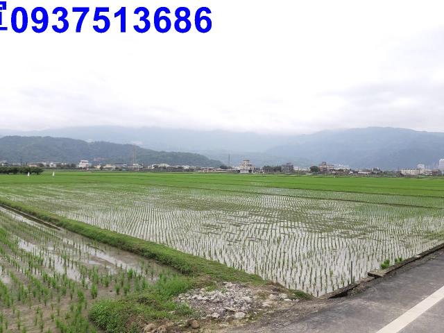 宜蘭礁溪農地-2