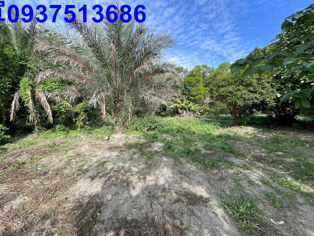 新竹竹北農地-10