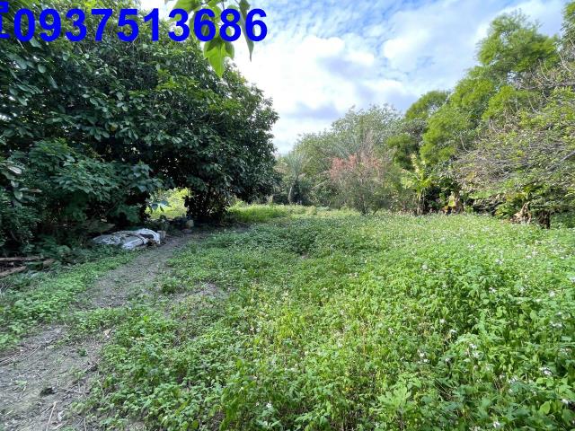 新竹竹北農地-12