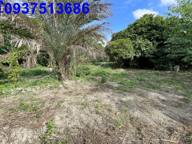 新竹竹北農地-13