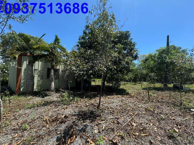 宜蘭礁溪農地-11