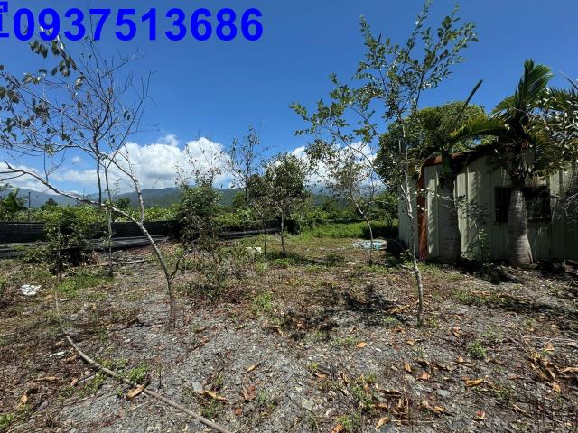 宜蘭礁溪農地-13