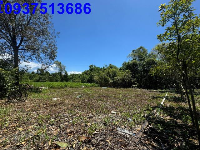 宜蘭礁溪農地-0