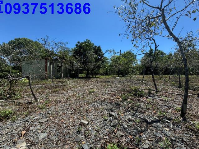 宜蘭礁溪農地-7