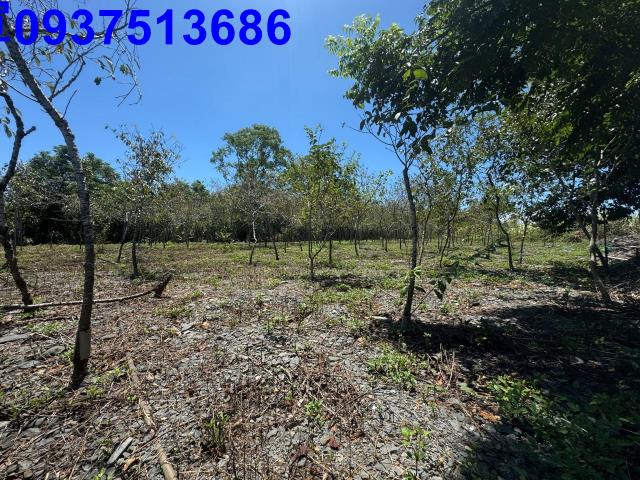 宜蘭礁溪農地-9