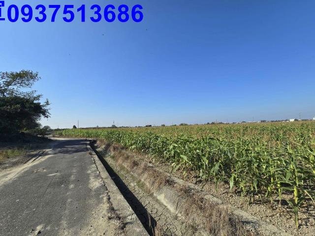 嘉義新港農地-7