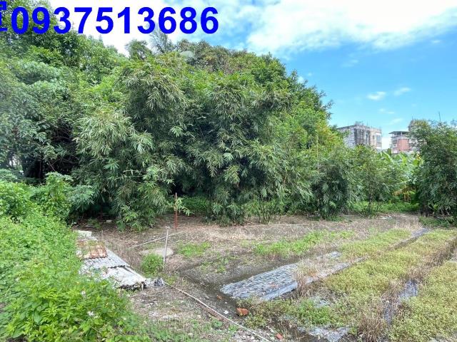 宜蘭頭城建地-2