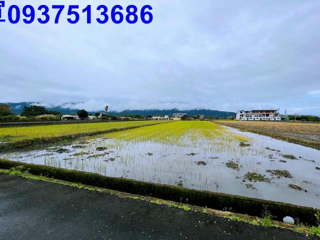 宜蘭三星農地-9