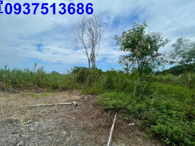 宜蘭宜蘭市農地-0