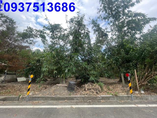 宜蘭宜蘭市農地-3