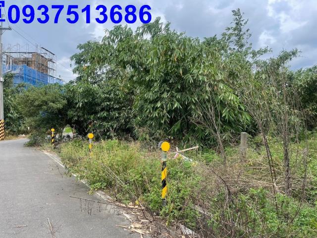 宜蘭宜蘭市農地-7