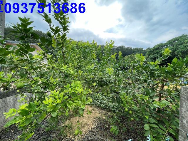 宜蘭員山農地-8