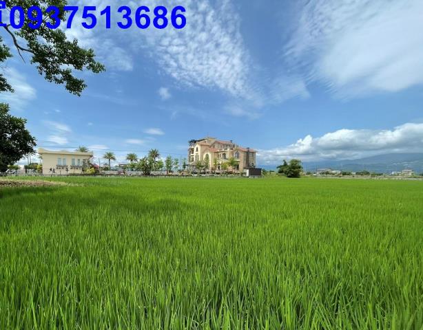 宜蘭礁溪農地-0