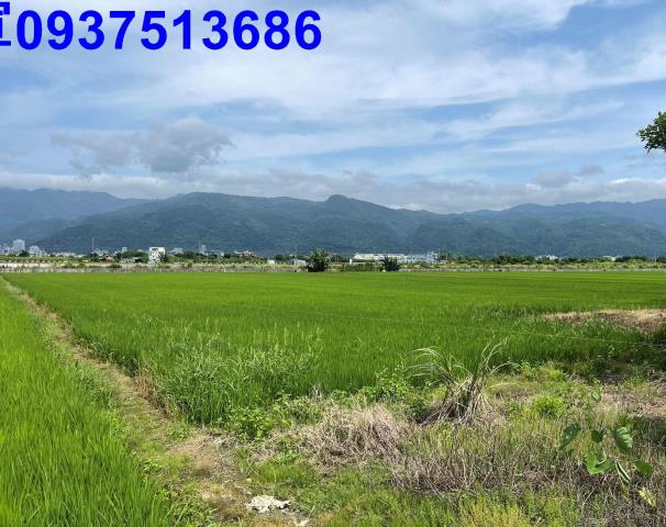 宜蘭礁溪農地-13