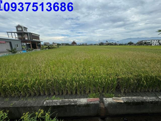 宜蘭壯圍農地-12