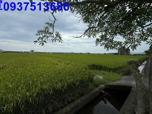 宜蘭壯圍農地-6