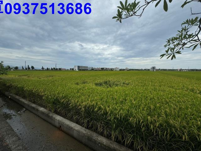 宜蘭壯圍農地-7