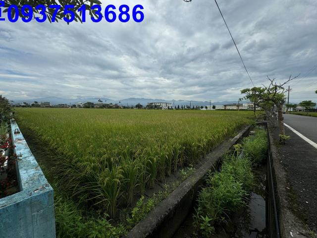 宜蘭壯圍農地-8