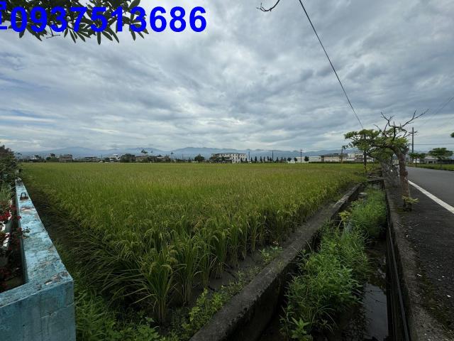 宜蘭壯圍農地-9