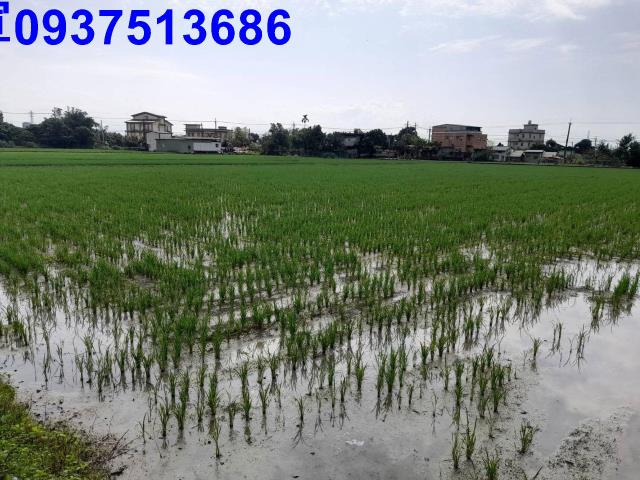 宜蘭壯圍農地-1