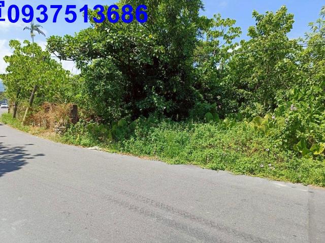 宜蘭羅東建地-7