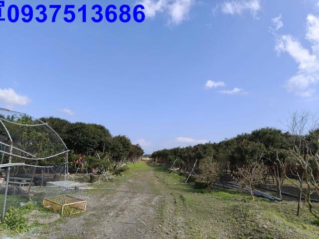 宜蘭礁溪農地-13