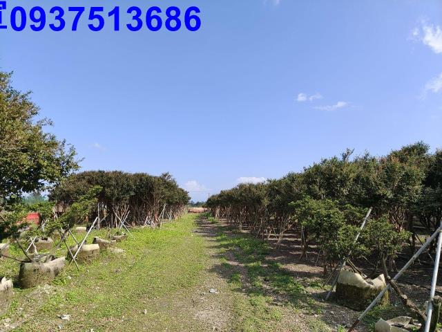 宜蘭礁溪農地-4