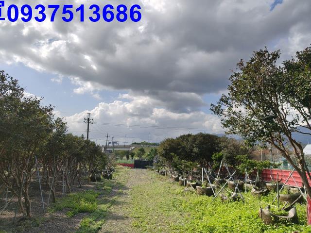 宜蘭礁溪農地-8