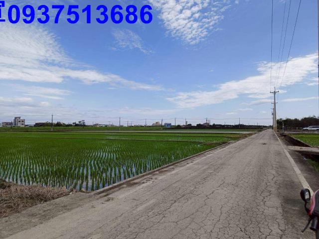 宜蘭壯圍農地-0