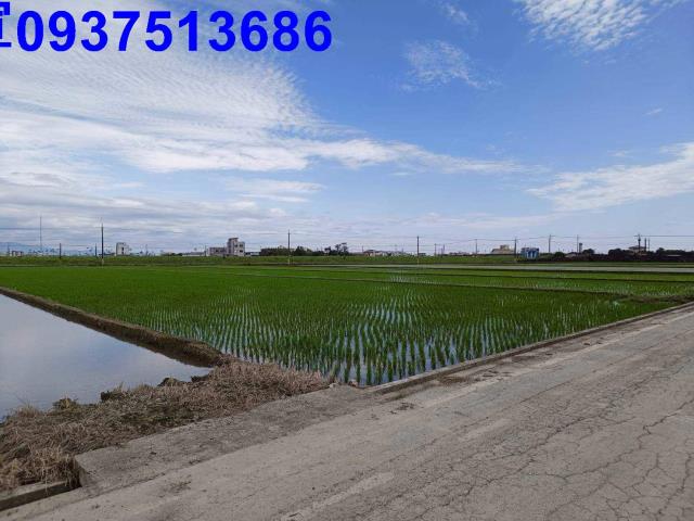 宜蘭壯圍農地-2