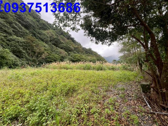 宜蘭員山農地-1