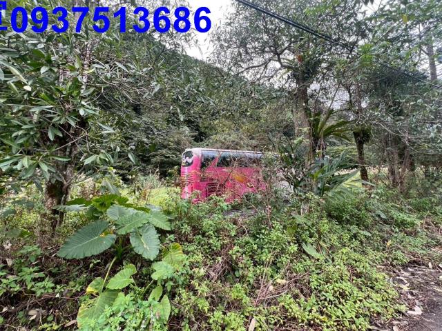 宜蘭員山農地-4