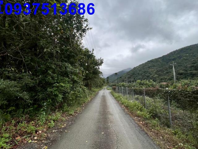 宜蘭員山農地-8