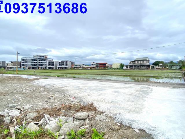 宜蘭宜蘭市農地-0