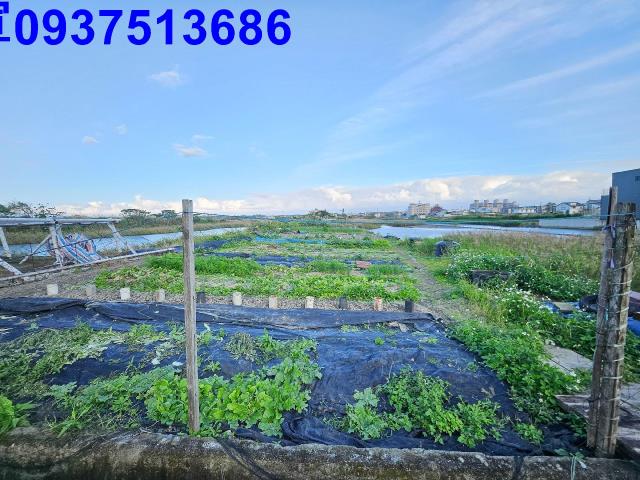 宜蘭壯圍農地-3