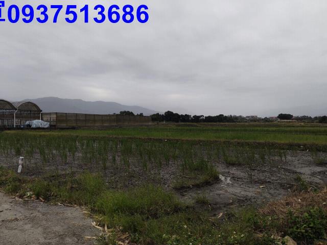 宜蘭三星農地-9