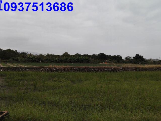 宜蘭三星農地-10