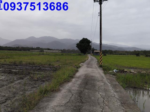 宜蘭三星農地-12