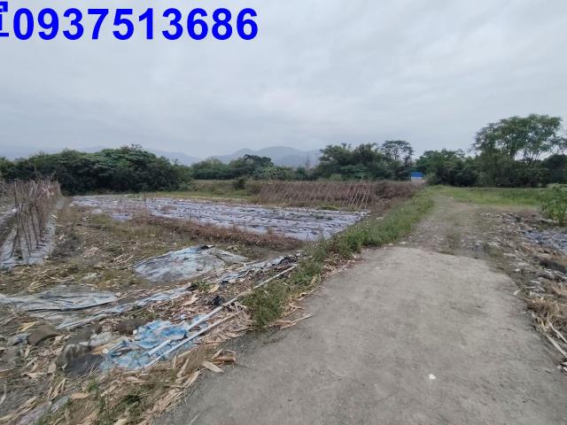 宜蘭三星農地-1