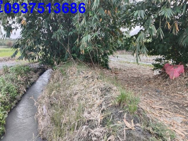 宜蘭三星農地-4