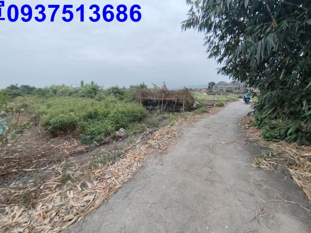 宜蘭三星農地-7