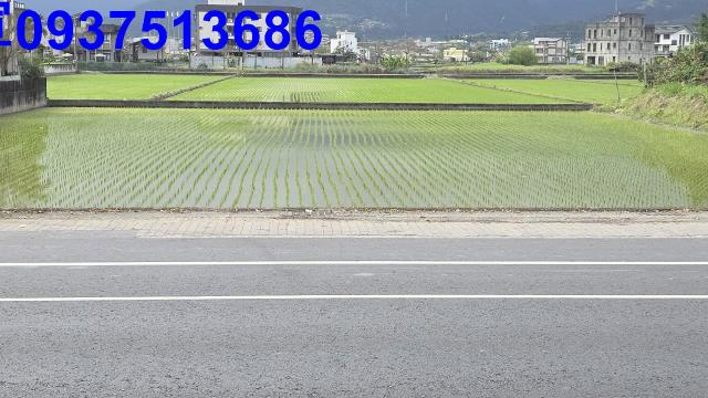 宜蘭宜蘭市農地-1