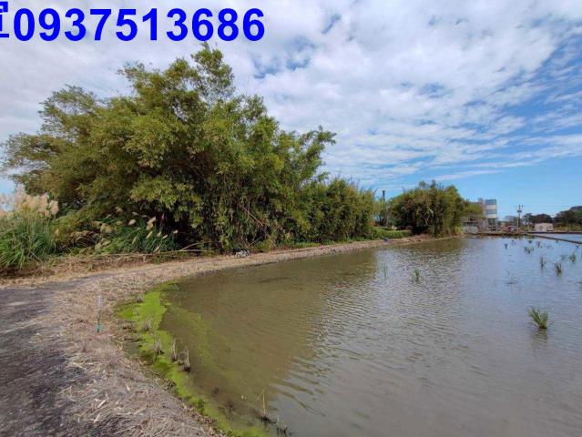 宜蘭壯圍農地-1