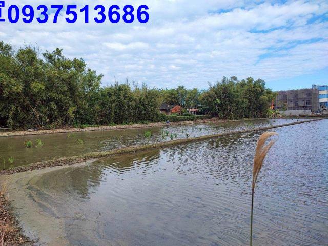 宜蘭壯圍農地-2