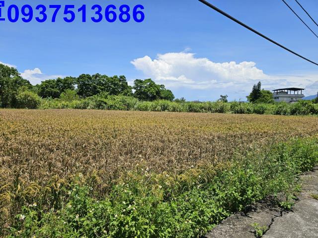 宜蘭員山農地-4