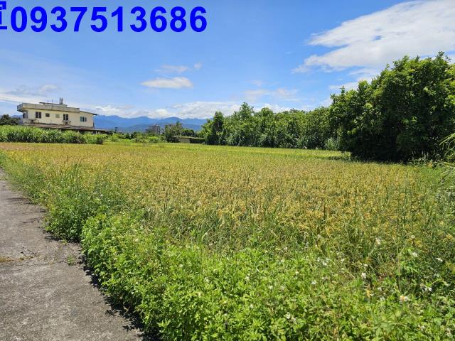 宜蘭員山農地-1